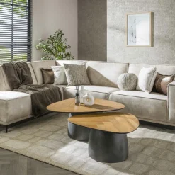 Salontafel FLORUS S/2 Organisch Rock