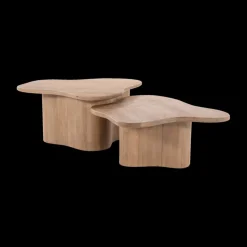 Salontafel S/2 AILO Mangohout Natural