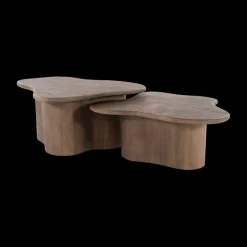 Salontafel S/2 AILO Mangohout Bruin