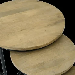 Salontafel S/3 BECCA Rond Mango