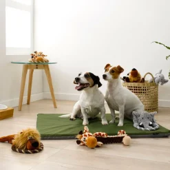 Speeltje BASILE Koord Olifant Grijs