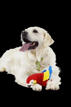 Speeltje PELUCHE Papegaai Rood