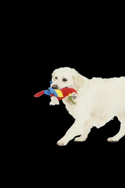 Speeltje PELUCHE Papegaai Rood