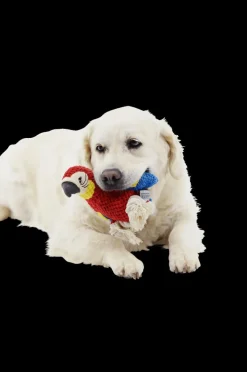 Speeltje PELUCHE Papegaai Rood