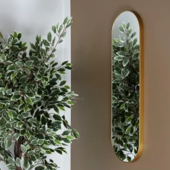 Spiegel XILIAM Hang. Ovaal Goud