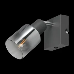 Spot CADIZ 1Del. Met./Glas Antraciet