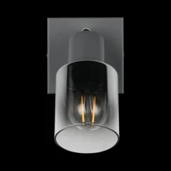 Spot CADIZ 1Del. Met./Glas Antraciet