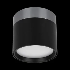 Spot RAKU Ø7.5 Zwart/Staal