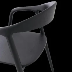 Stoel HJALMAR Ash Wood Black