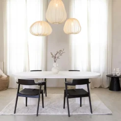 Stoel TEO Ash Wood Havana