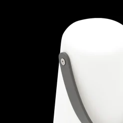 Tafellamp ESLE XL Led Ass.