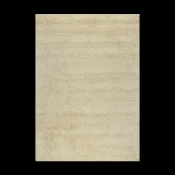 Tapijt ZIANO 300x200 Ivoor