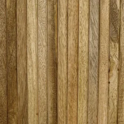 Tv-Meubel MANJARI Mango Natural B160